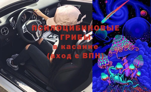 дживик Алексин