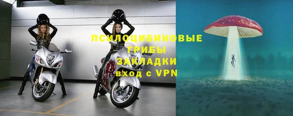 дживик Алексин