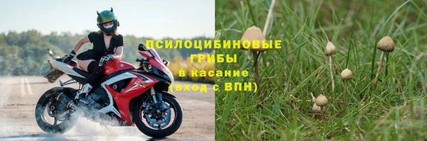 дживик Алексин