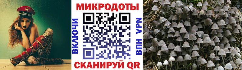 магазин продажи   Дмитриев  MEGA ссылки  Псилоцибиновые грибы MAGIC MUSHROOMS 